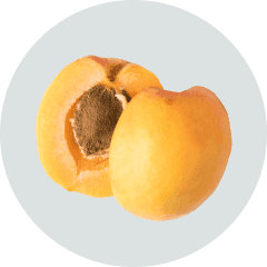 apricot oil